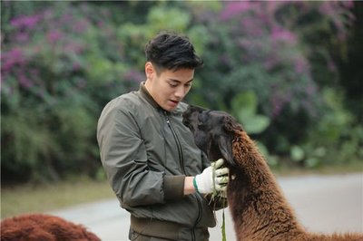《奇妙的朋友》 收視蟬聯(lián)冠軍，飼養(yǎng)員與動物共成長