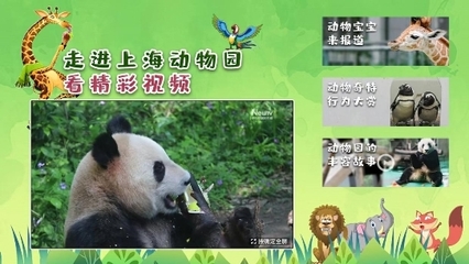 解鎖六一特別陪伴模式 中國互聯(lián)網(wǎng)電視帶您云游上海動物園，探秘動物飼養(yǎng)